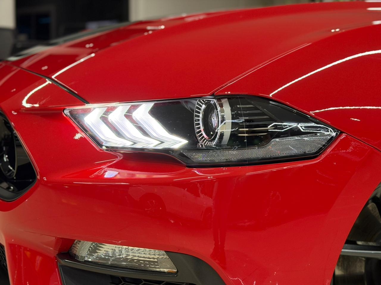 Ford Mustang Mach 1 5.0 V8 - foto 3