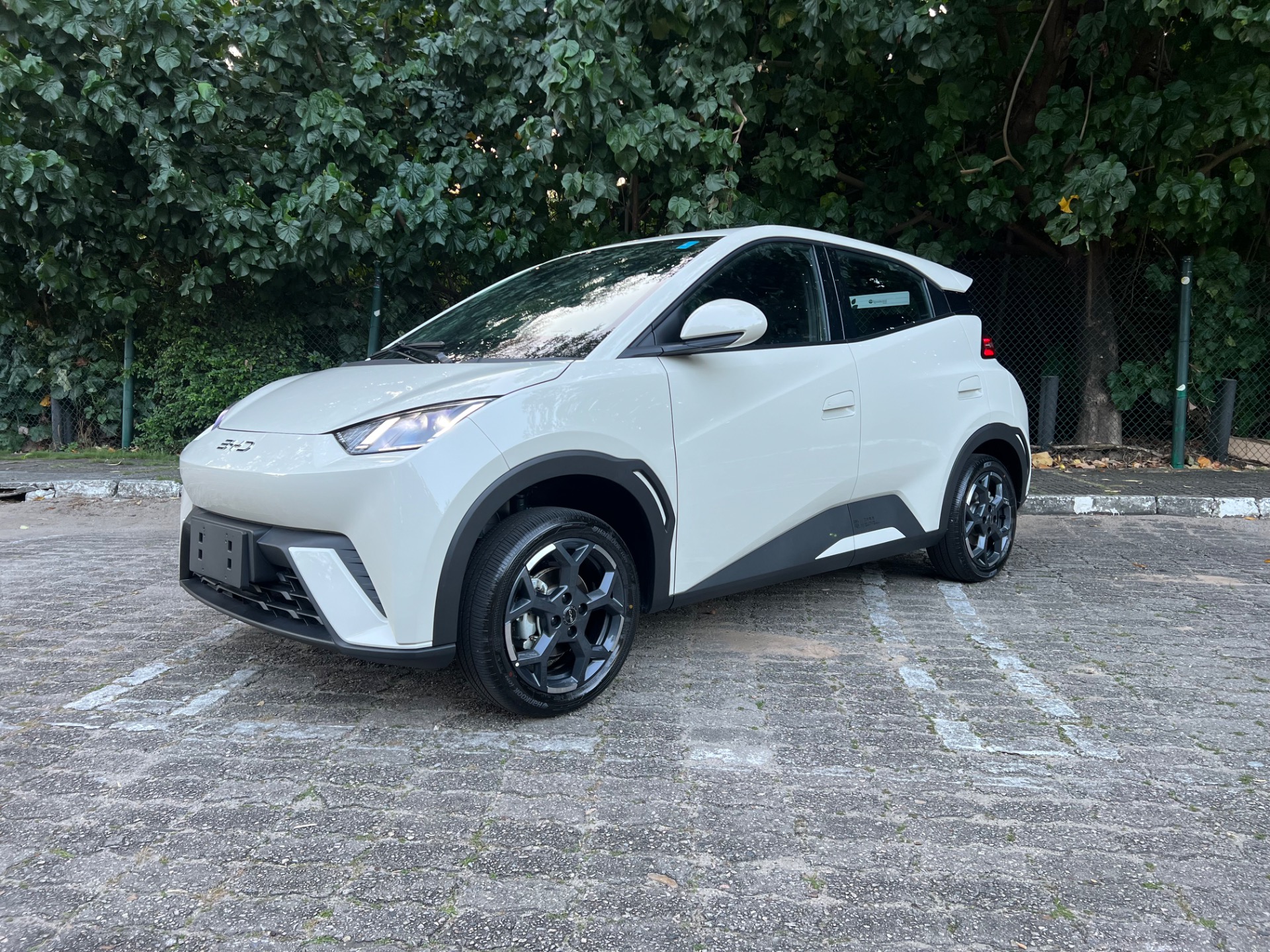 BYD Dolphin Mini Gl - foto 2