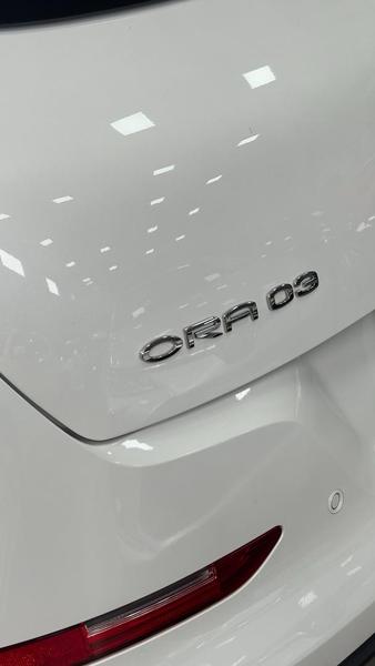 GWM Ora 03 03 Skin (elétrico) - foto 14