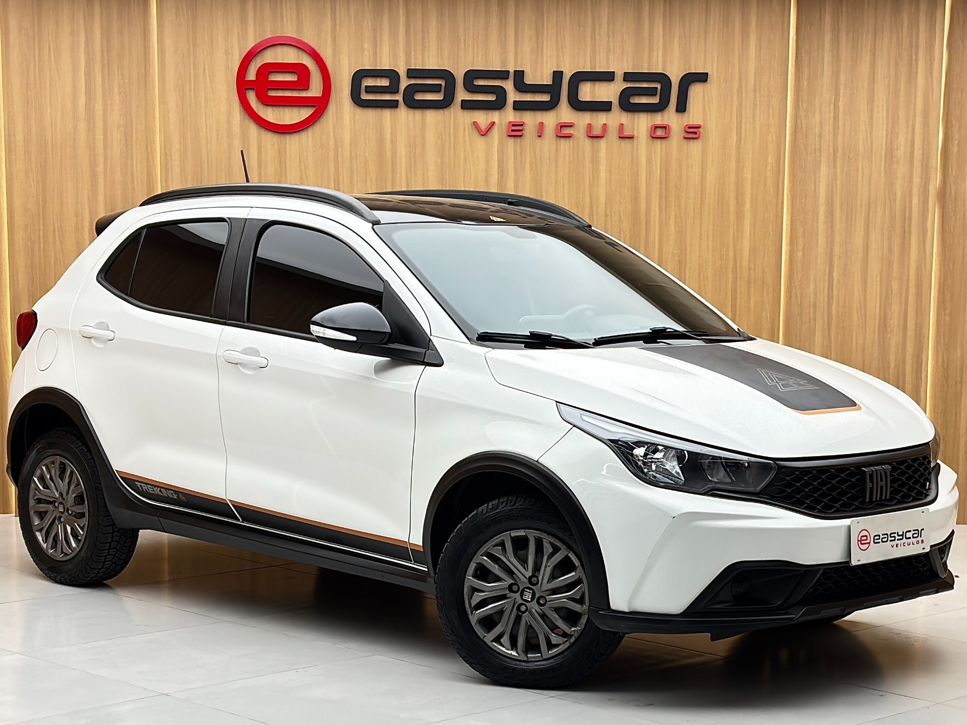 Fiat Argo Trekking 1.3 8V Flex - foto 3