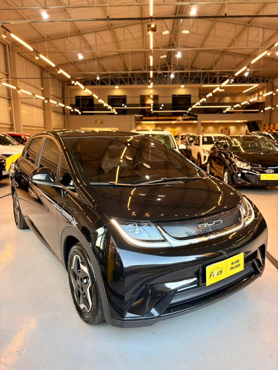 BYD Dolphin Ev Gs (elétrico) - foto 10