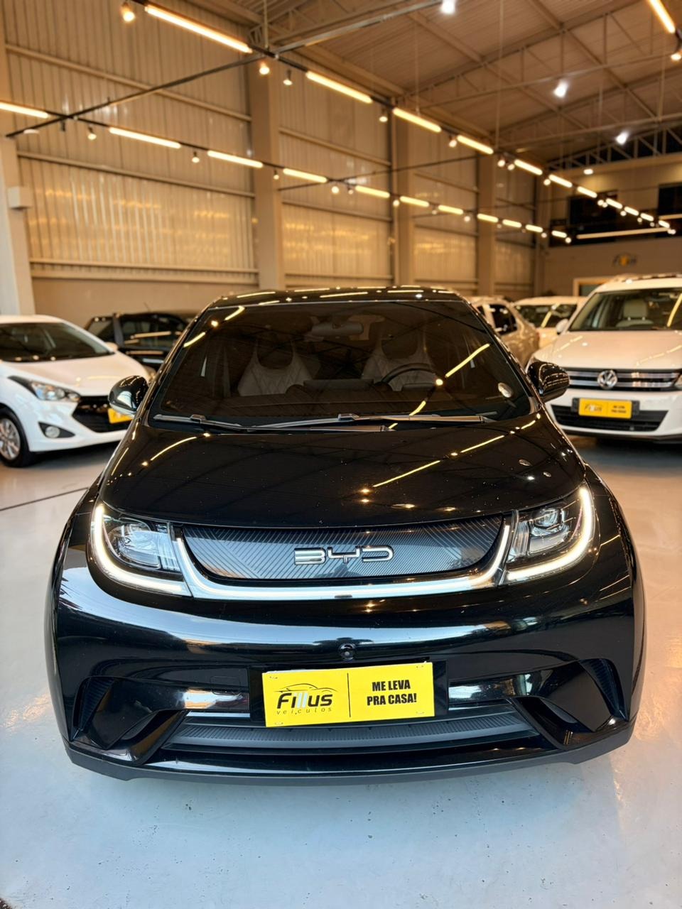 BYD Dolphin Ev Gs (elétrico) - foto 9