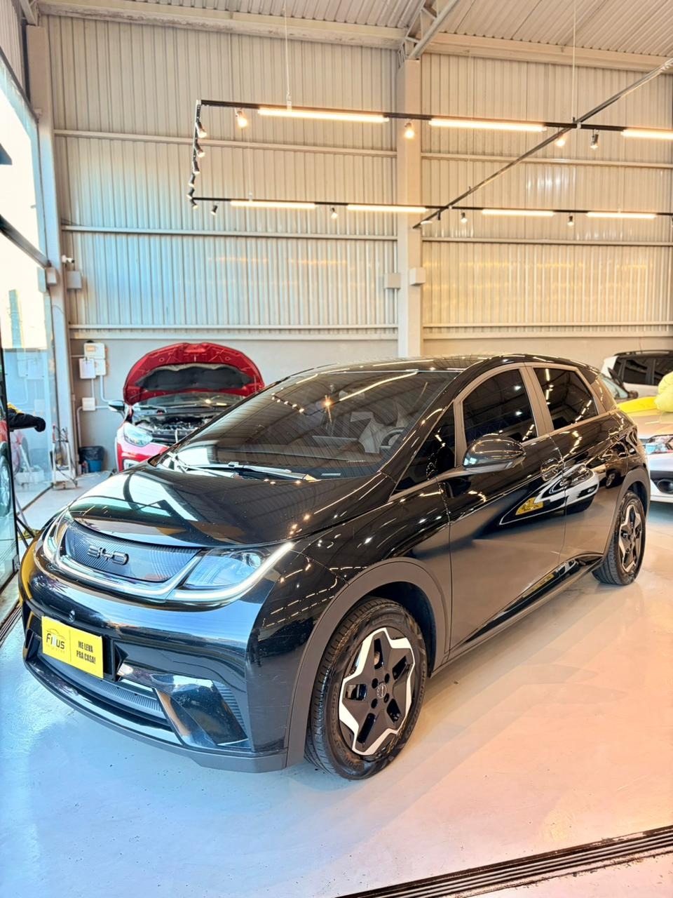 BYD Dolphin Ev Gs (elétrico) - foto 15