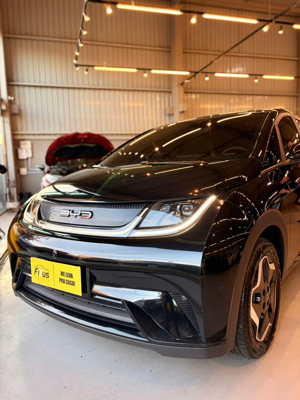 BYD Dolphin Ev Gs (elétrico) - foto 7
