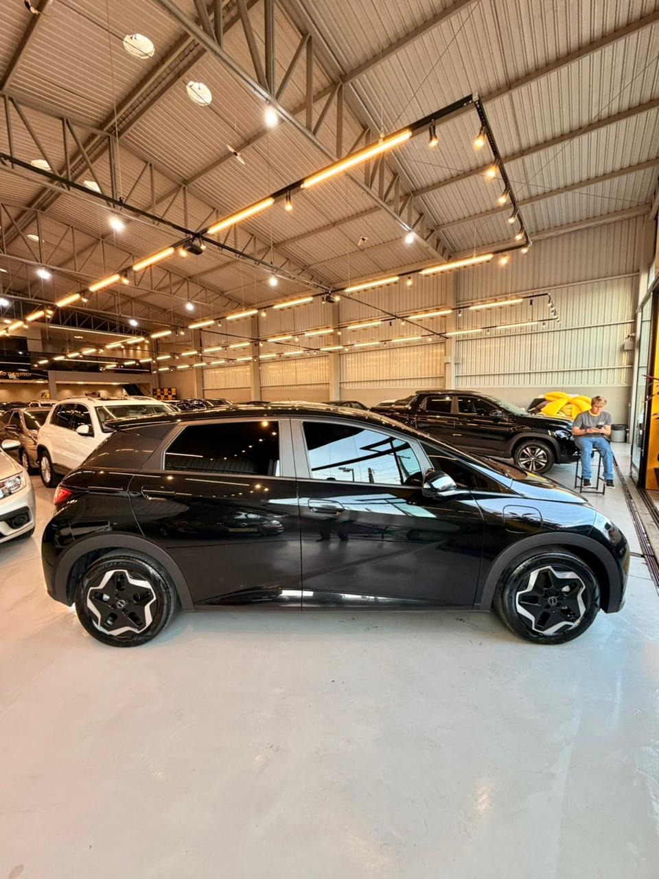 BYD Dolphin Ev Gs (elétrico) - foto 13