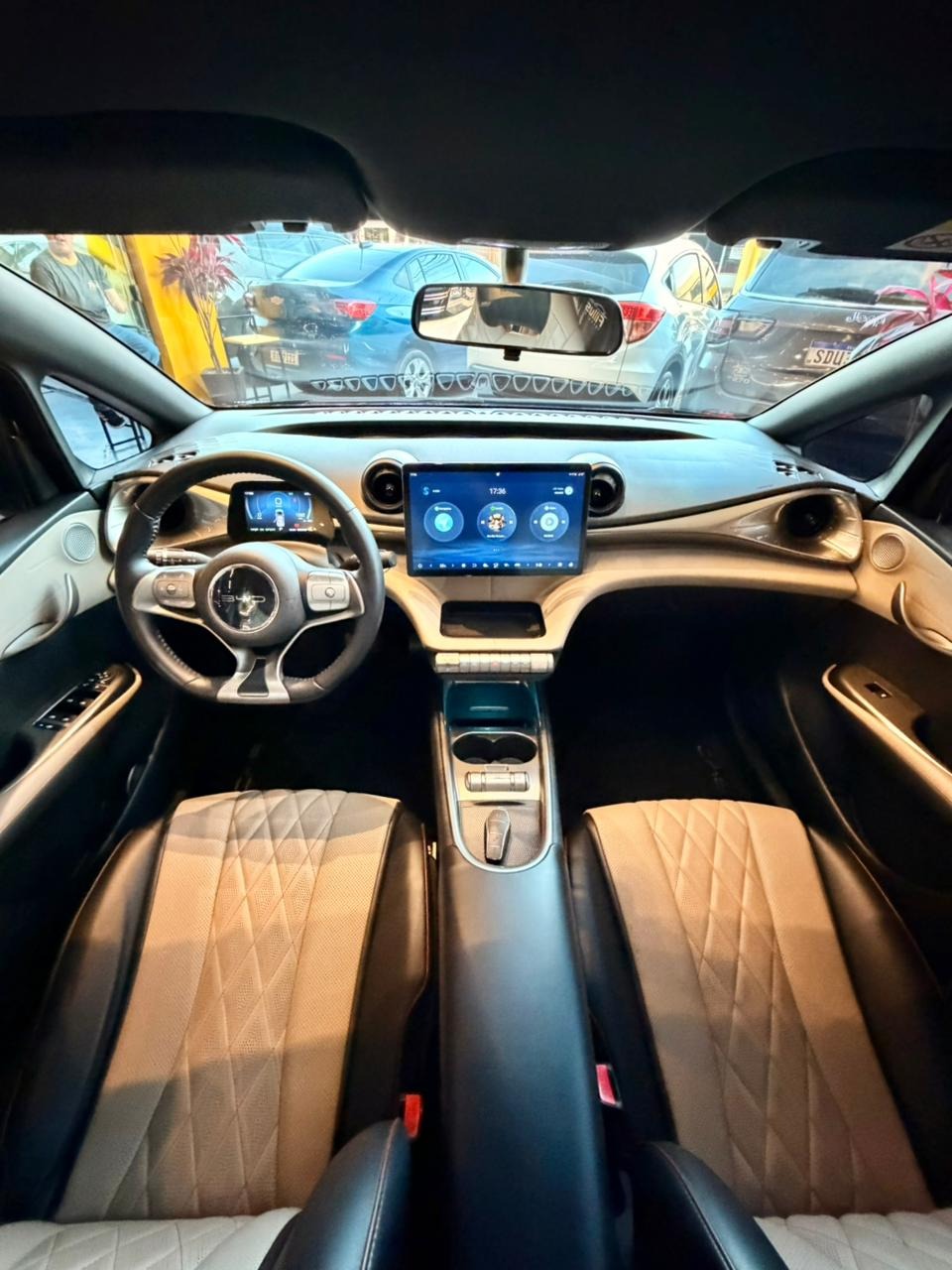 BYD Dolphin Ev Gs (elétrico) - foto 16