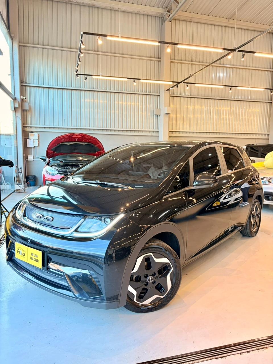 BYD Dolphin Ev Gs (elétrico) - foto 14