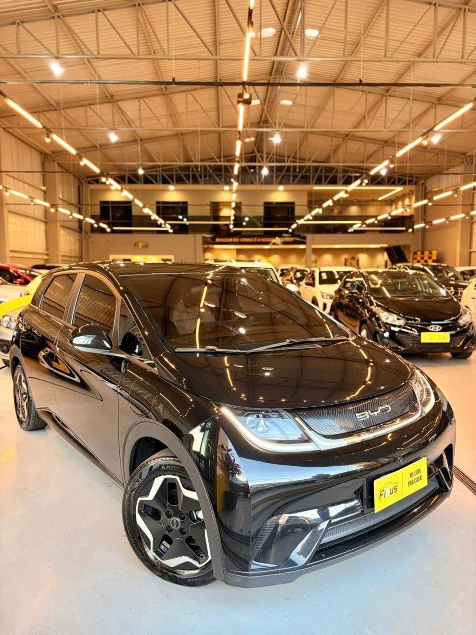 BYD Dolphin Ev Gs (elétrico) - foto 8