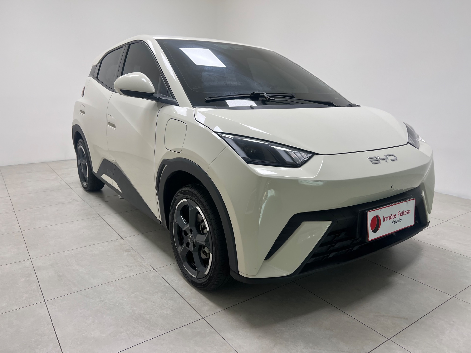 BYD Dolphin Mini Gs (elétrico) - foto 3