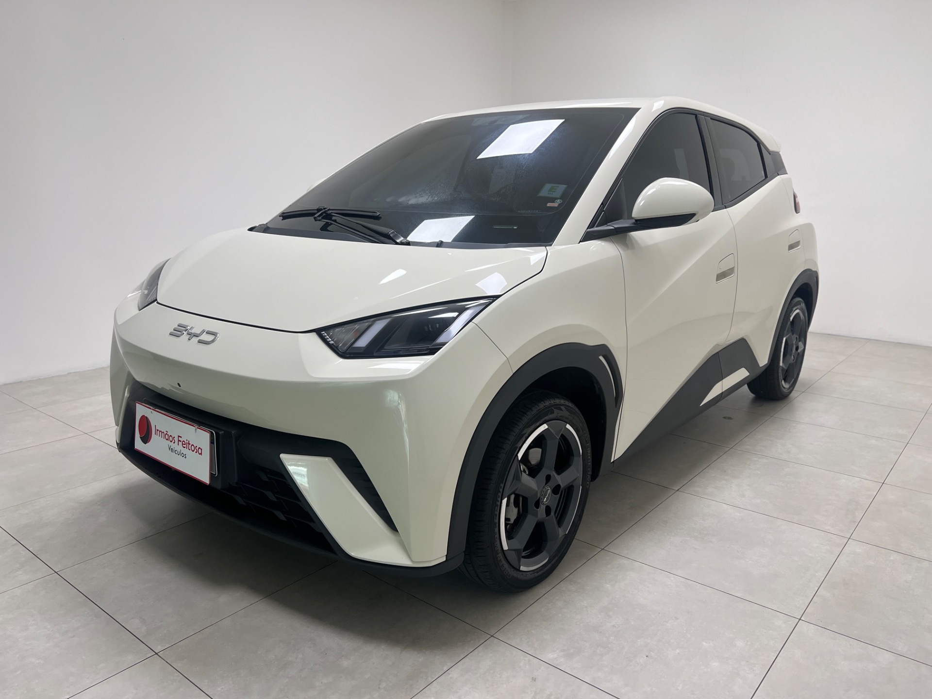 BYD Dolphin Mini 2025 à venda