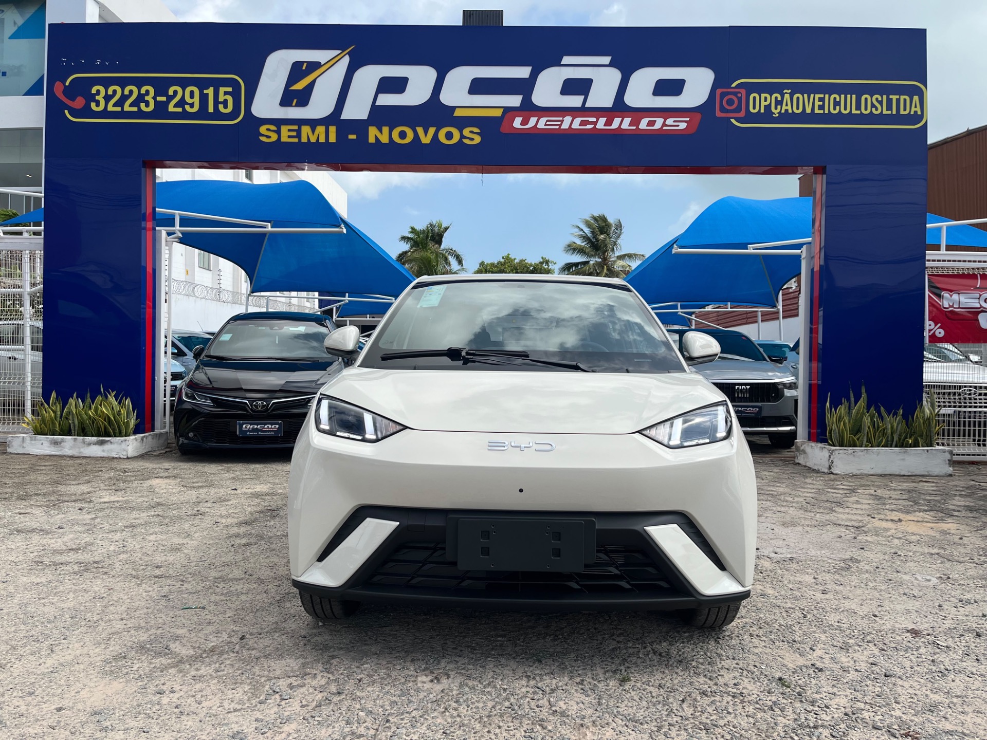 BYD Dolphin Mini 2027 à venda